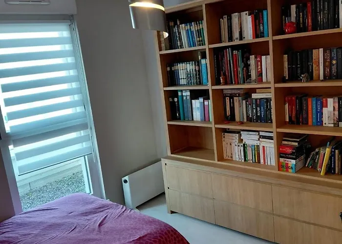 Appartement Spacieux 3 Pièces En Attique Truchtersheim